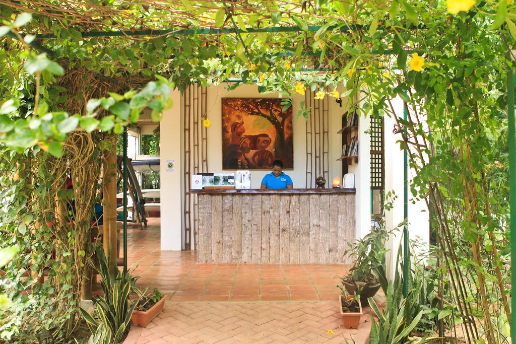 Fox & The Firefly Cottages Loboc Exterior foto